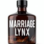 Lynx Series Book 7 Kindle eBook Enhanced-0